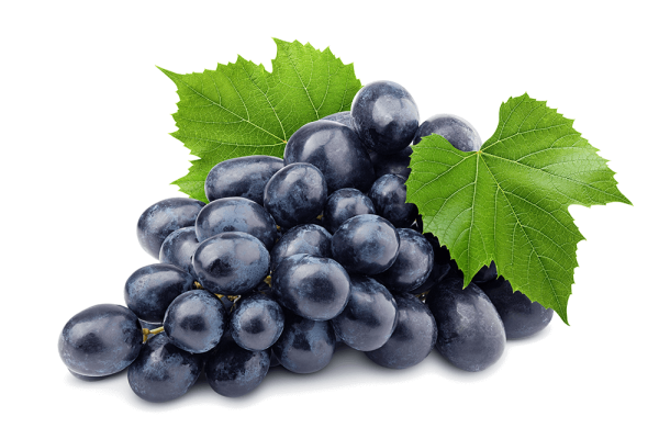 Black grape juice – Frigopak